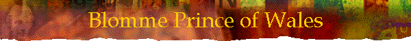 Blomme Prince of Wales